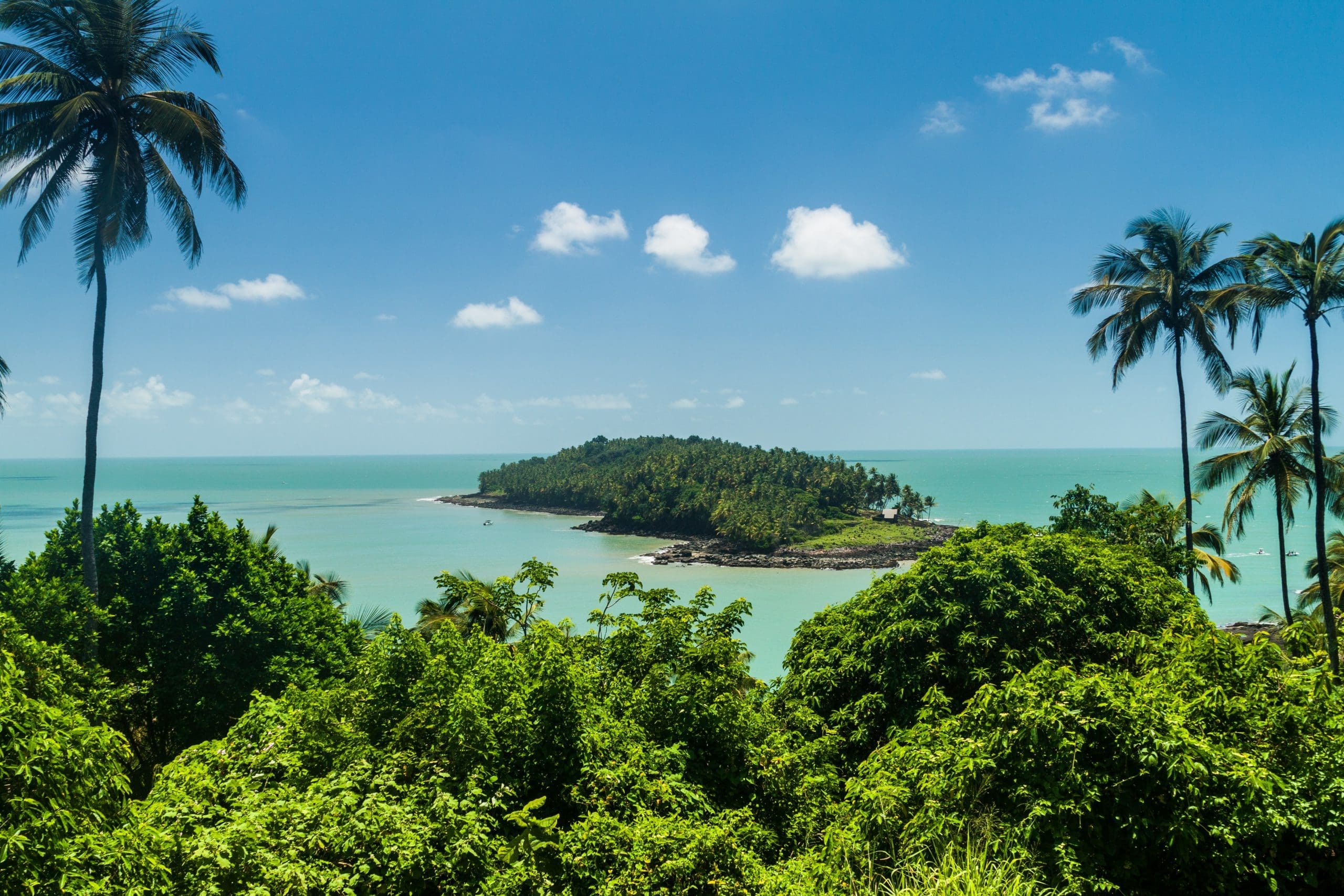 Wikipedia: The Internet’s Devil’s Island